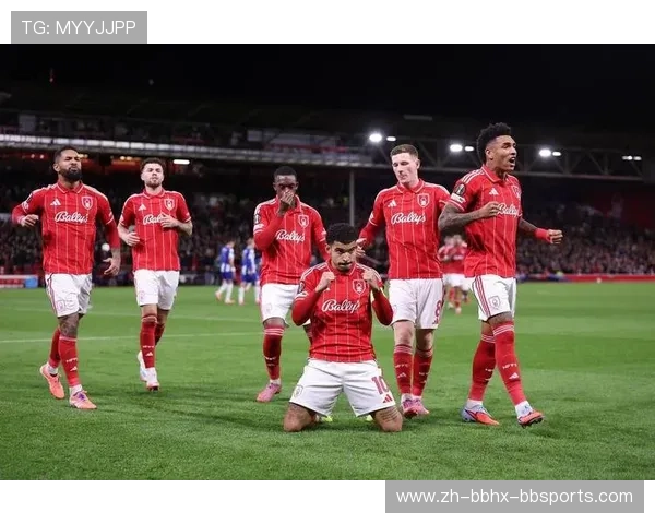 德甲豪门拜仁慕尼黑球队历史与战绩总览